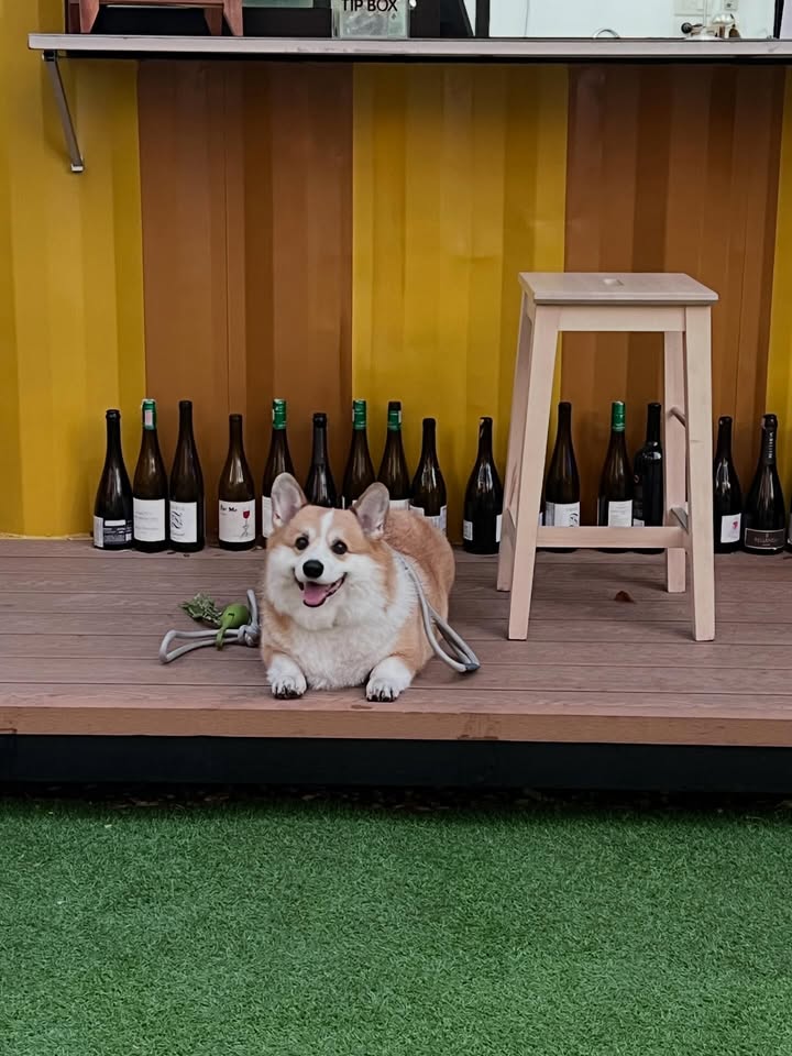 เบลล์ - เขมิศรา พลเดช