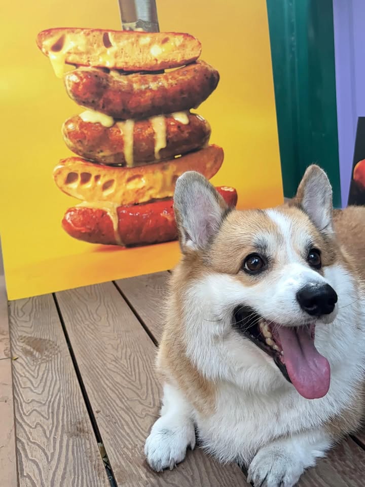 เบลล์ - เขมิศรา พลเดช