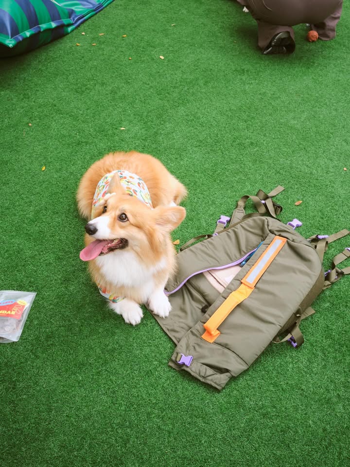 เบลล์ - เขมิศรา พลเดช