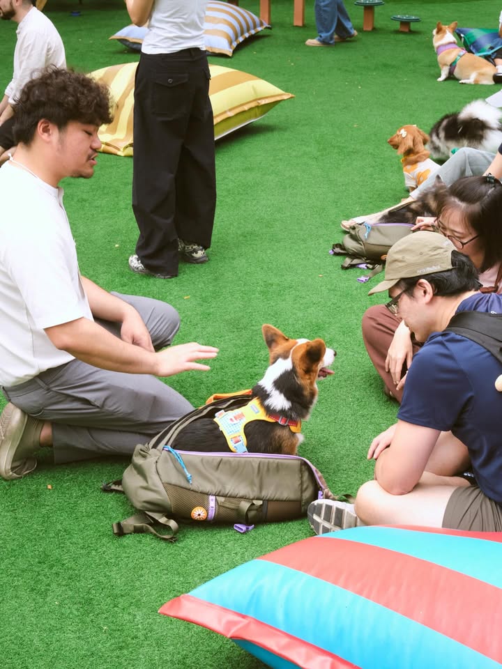 เบลล์ - เขมิศรา พลเดช