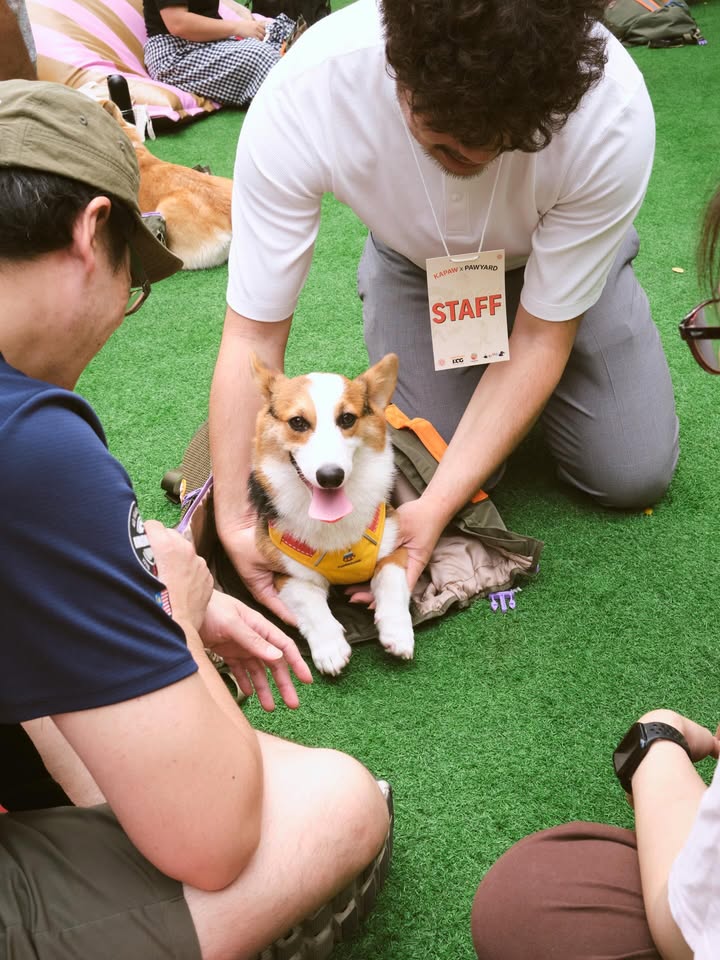 เบลล์ - เขมิศรา พลเดช