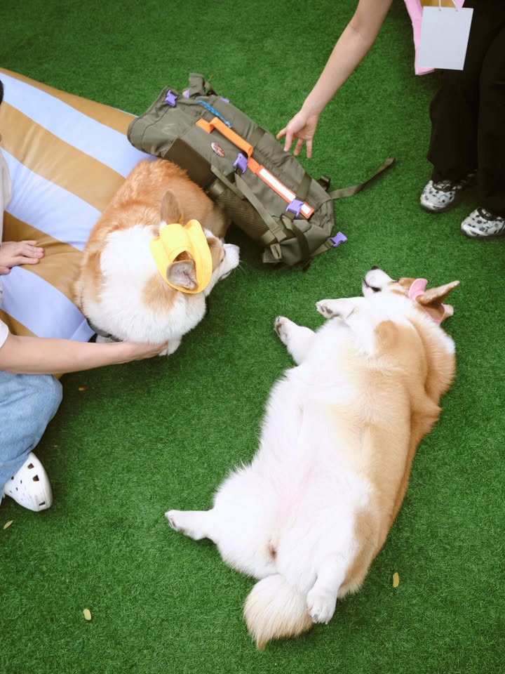 เบลล์ - เขมิศรา พลเดช