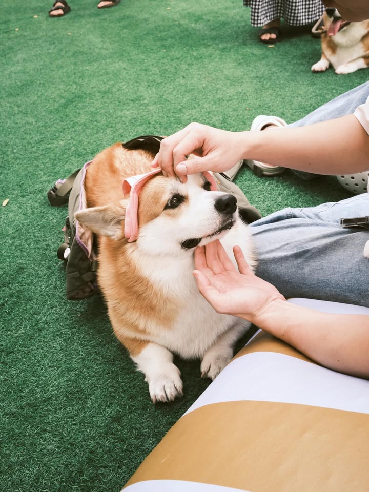 เบลล์ - เขมิศรา พลเดช