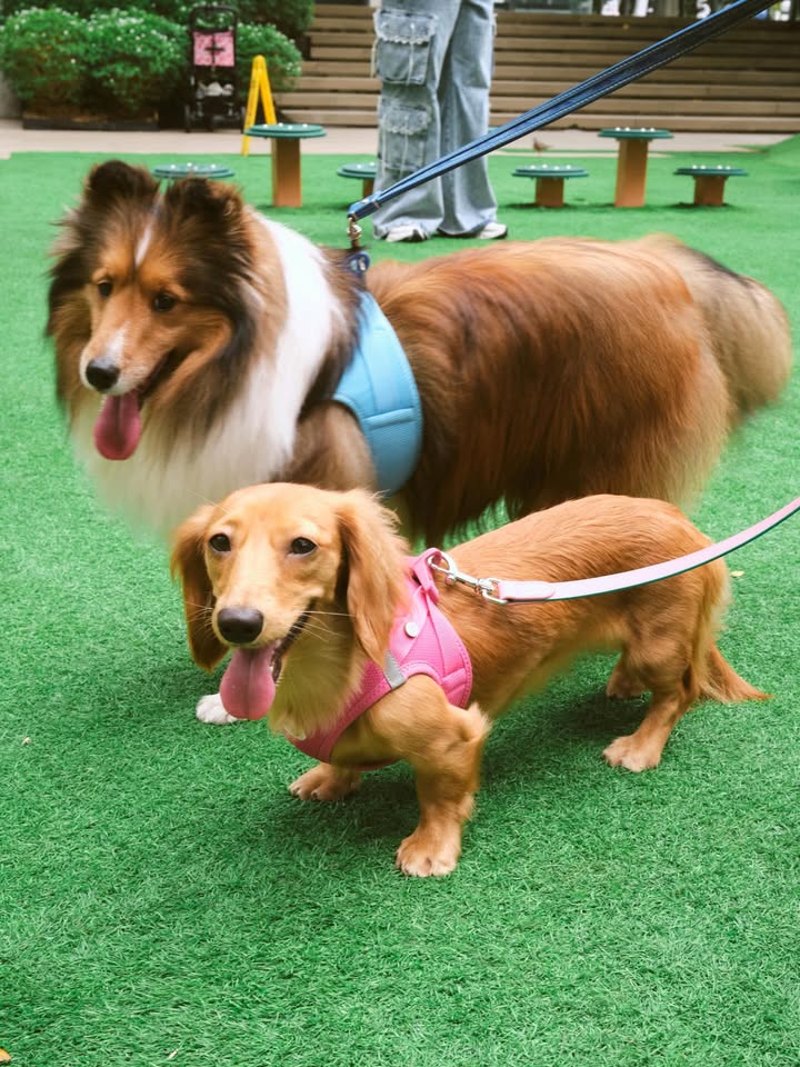 เบลล์ - เขมิศรา พลเดช