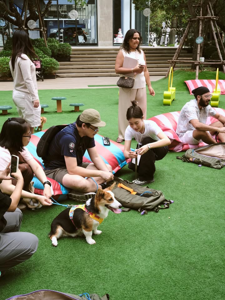 เบลล์ - เขมิศรา พลเดช