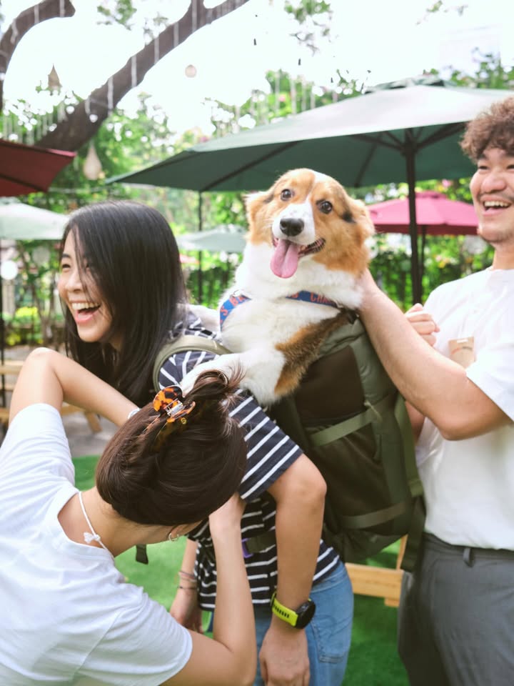 เบลล์ - เขมิศรา พลเดช