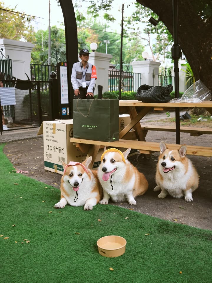 เบลล์ - เขมิศรา พลเดช