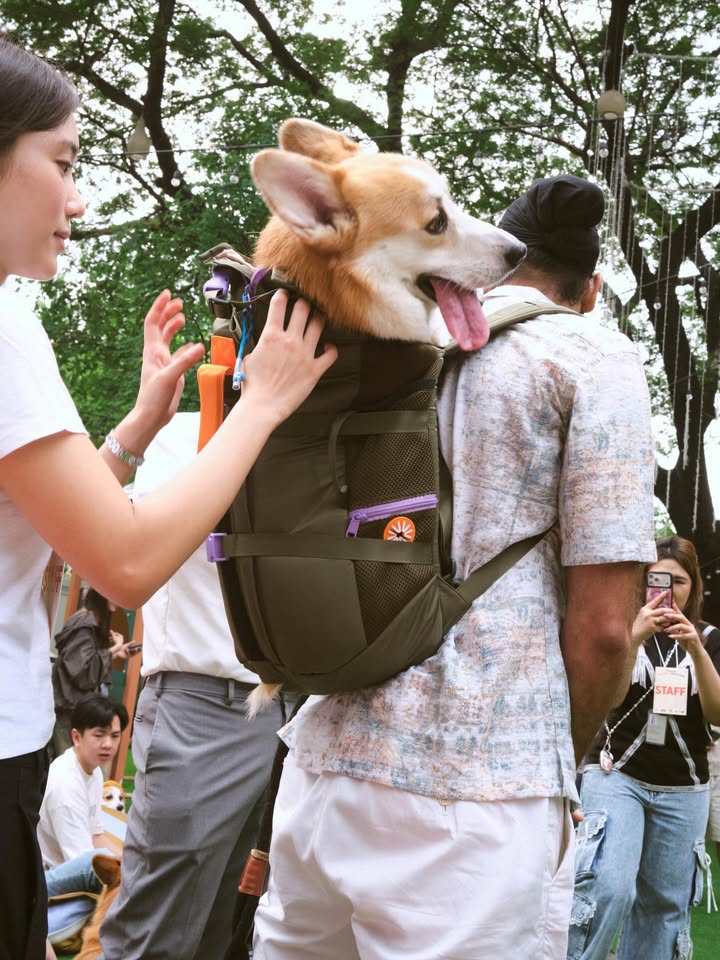 เบลล์ - เขมิศรา พลเดช