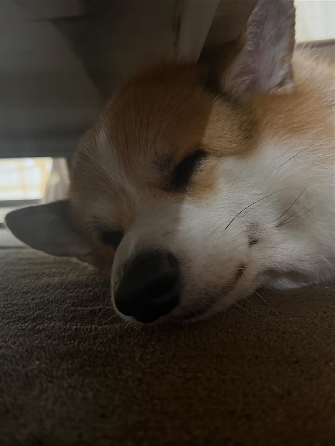 เบลล์ - เขมิศรา พลเดช