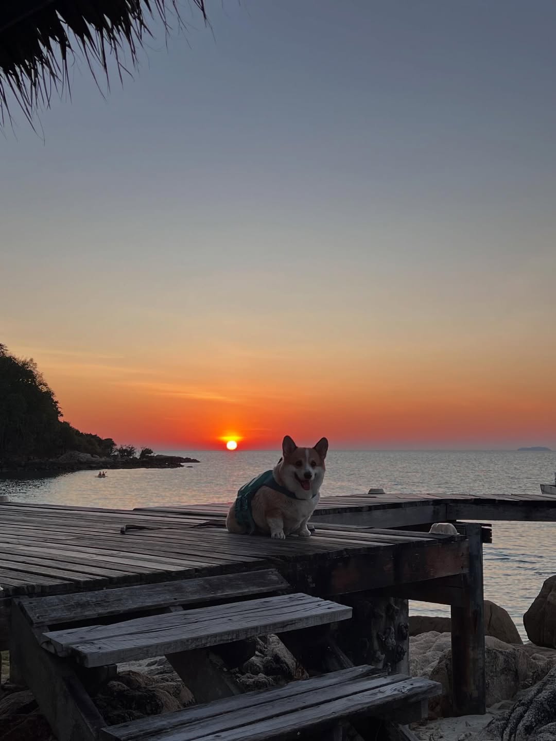 เบลล์ - เขมิศรา พลเดช