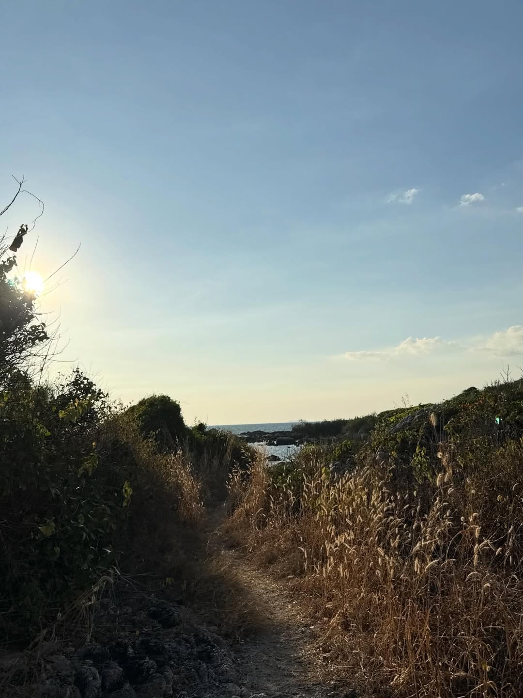 เบลล์ - เขมิศรา พลเดช