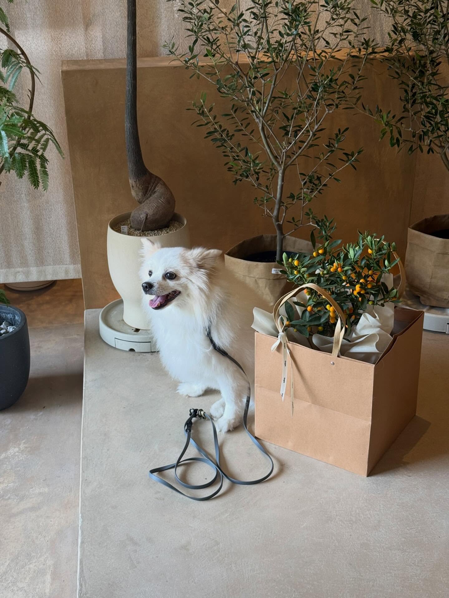 เบลล์ - เขมิศรา พลเดช