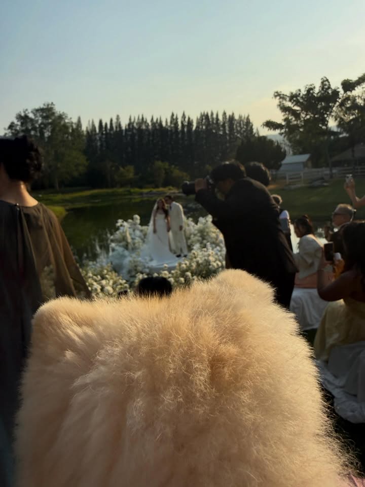 เบลล์ - เขมิศรา พลเดช