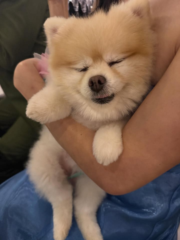 เบลล์ - เขมิศรา พลเดช