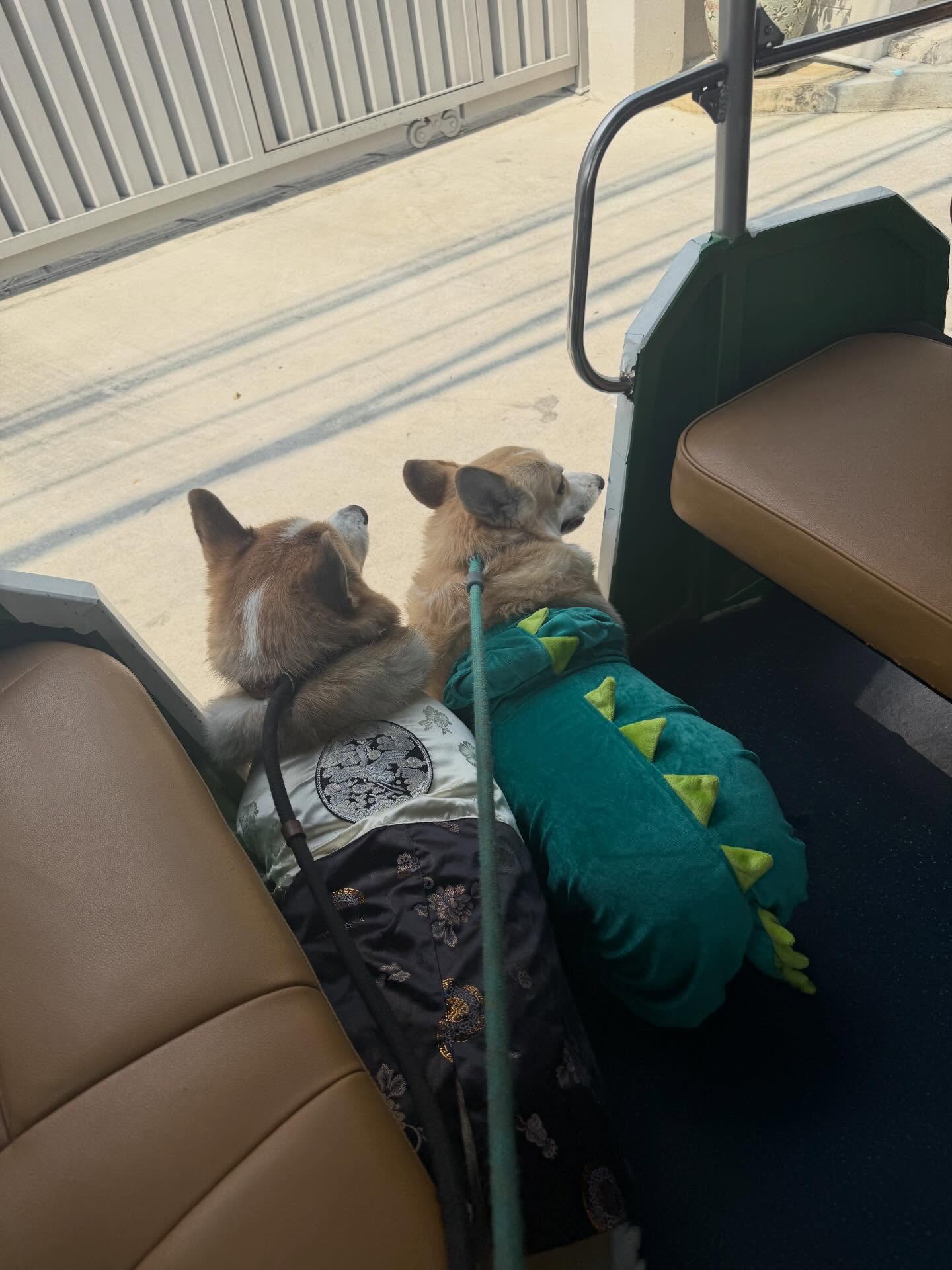 เบลล์ - เขมิศรา พลเดช