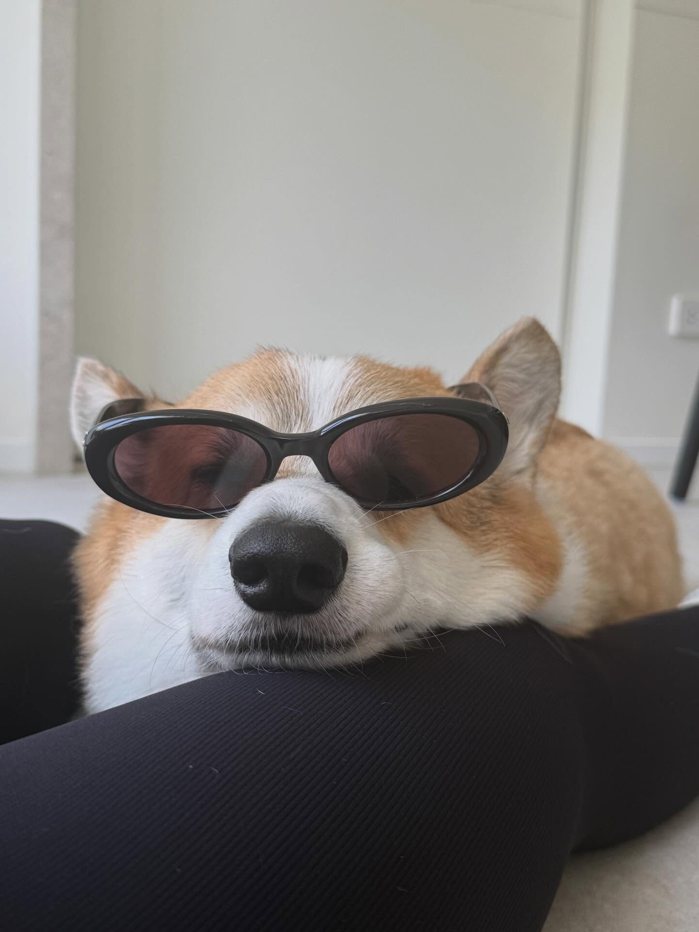 เบลล์ - เขมิศรา พลเดช