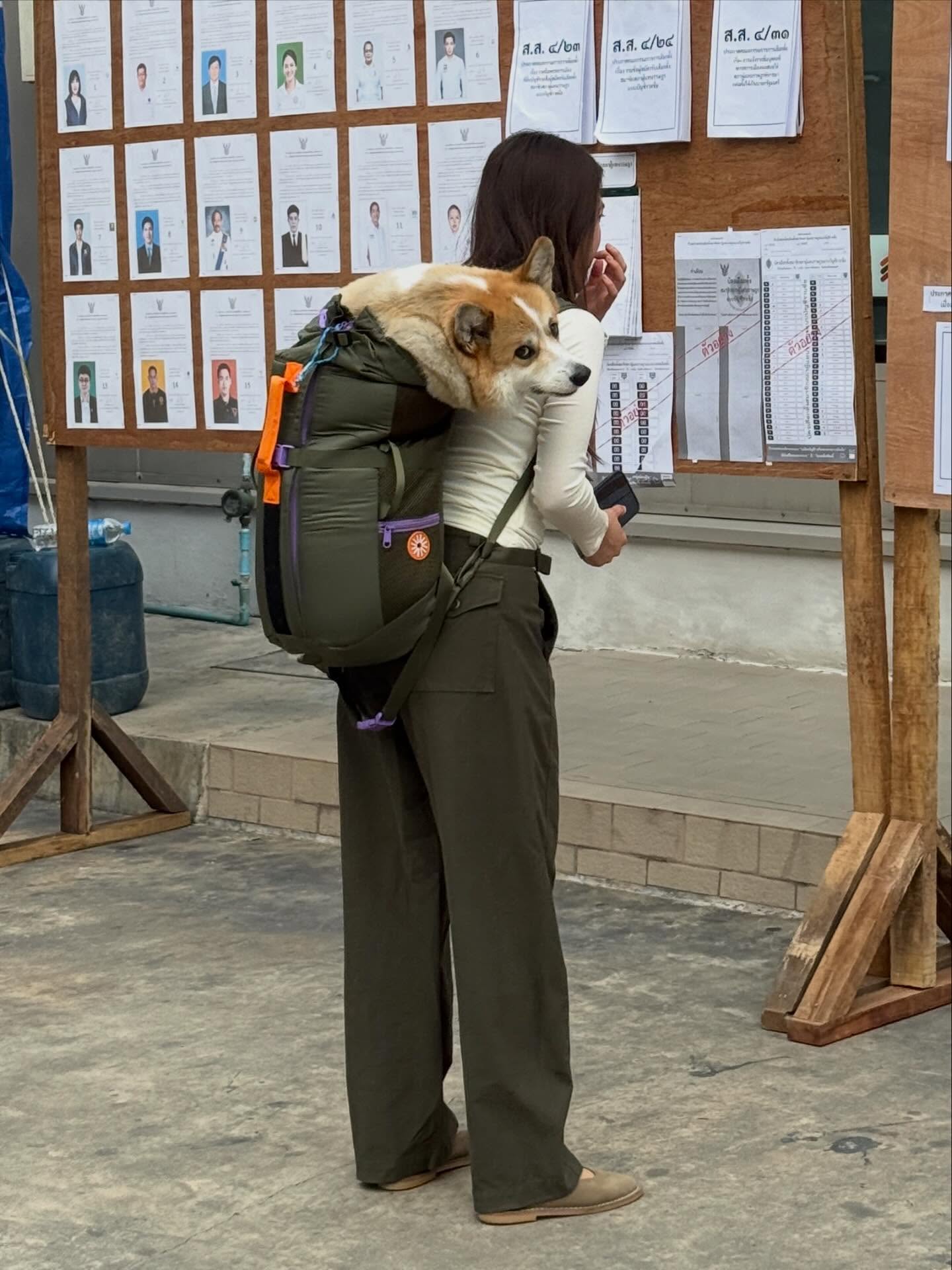 เบลล์ - เขมิศรา พลเดช