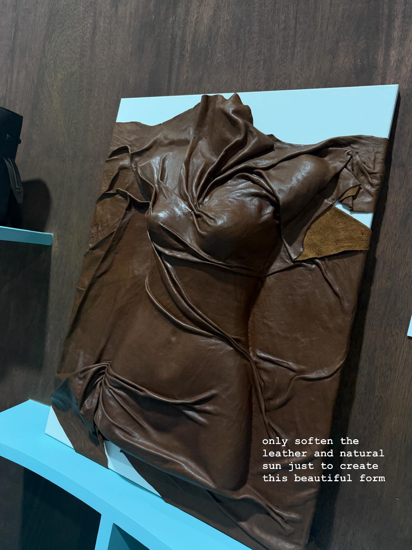 เบลล์ - เขมิศรา พลเดช