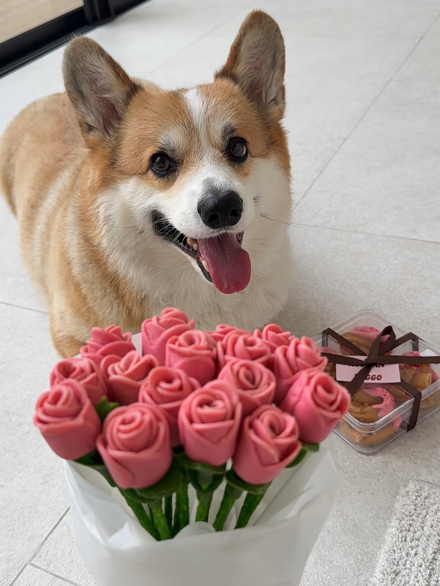 เบลล์ - เขมิศรา พลเดช