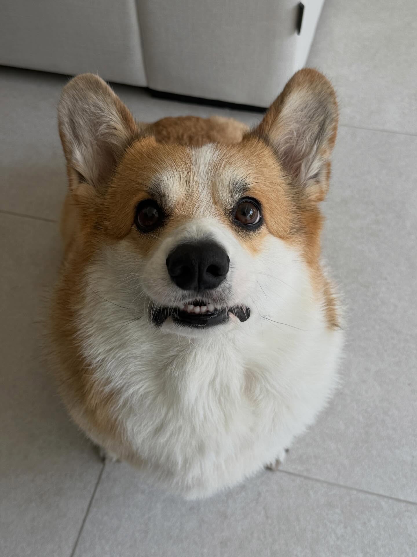 เบลล์ - เขมิศรา พลเดช