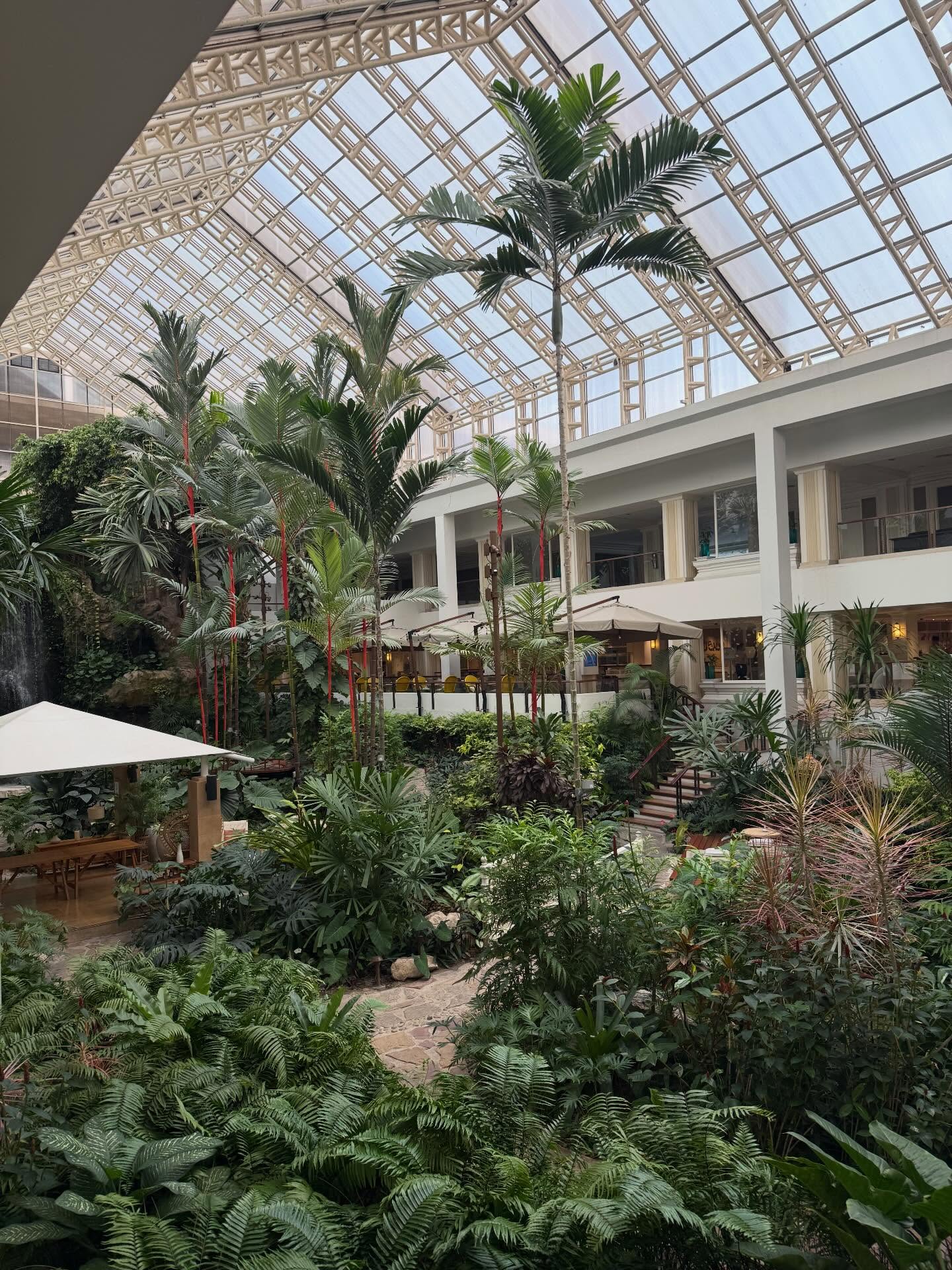 เบลล์ - เขมิศรา พลเดช