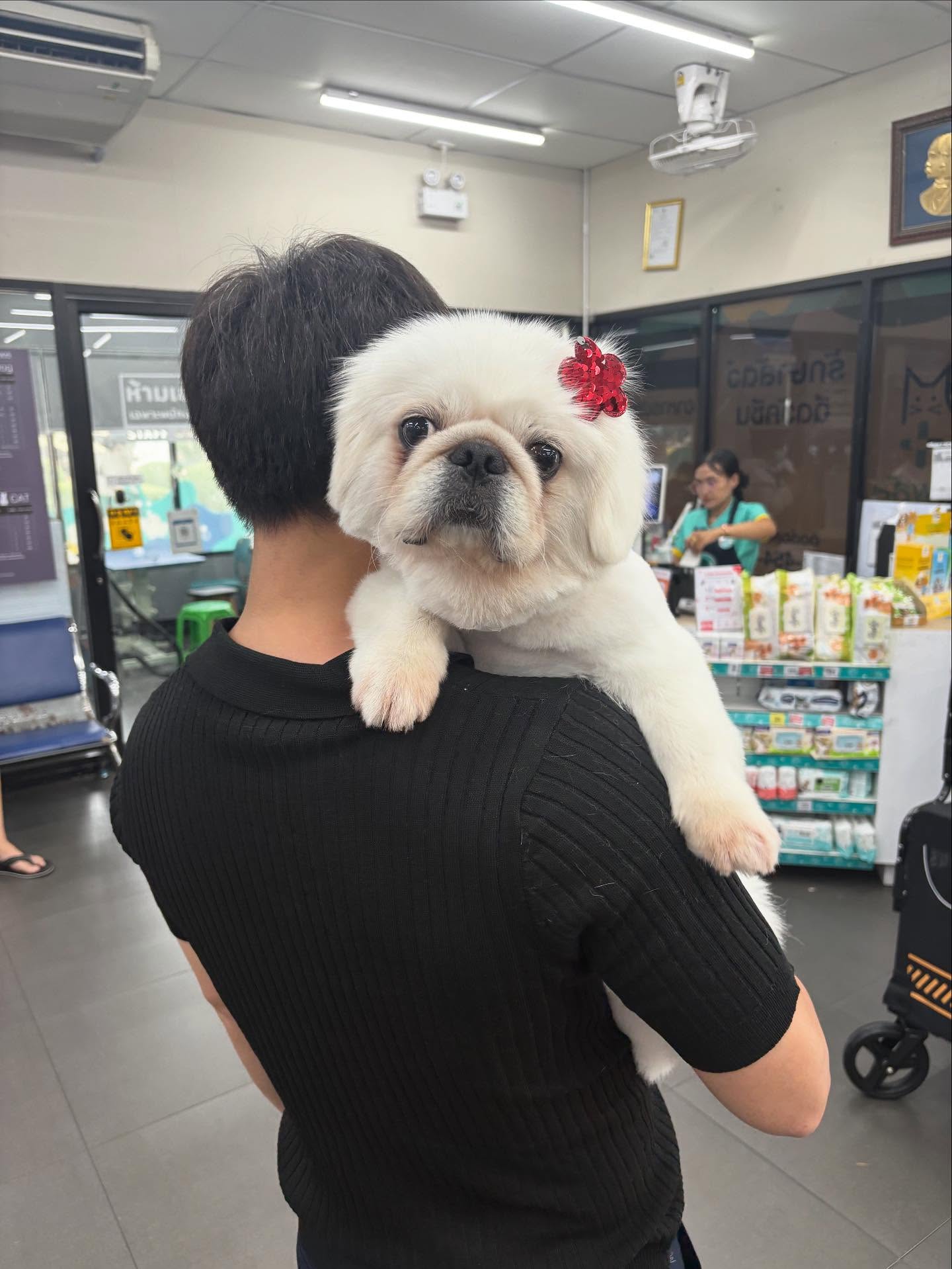 แมท - ภีรนีย์ คงไทย