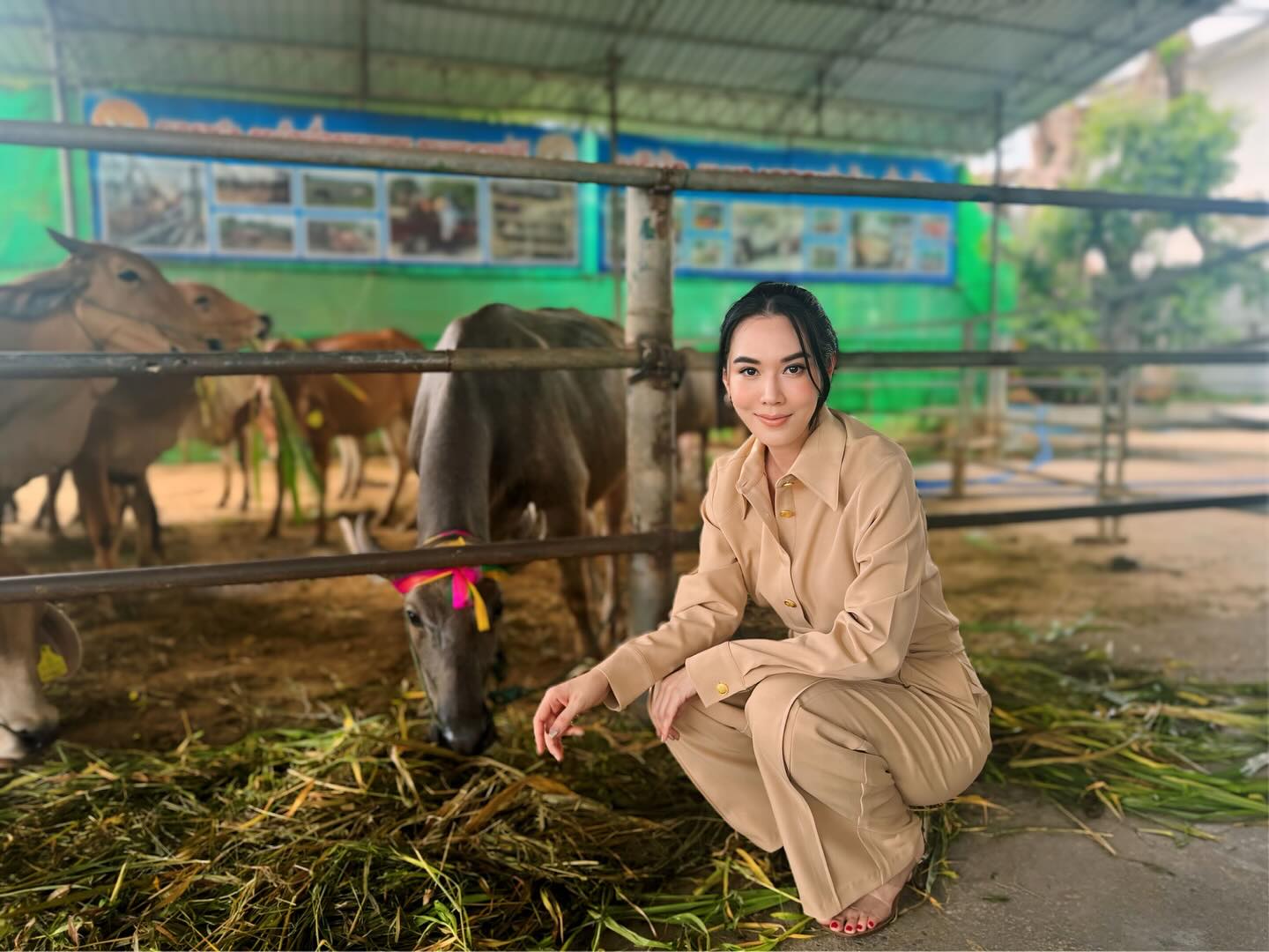 เมย์ เฟื่องอารมย์