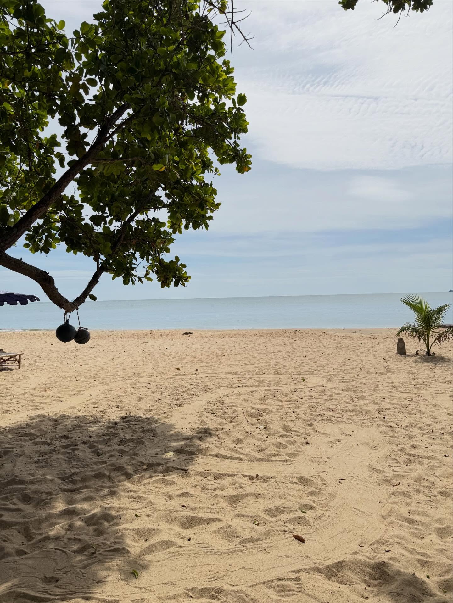 เมย์ เฟื่องอารมย์