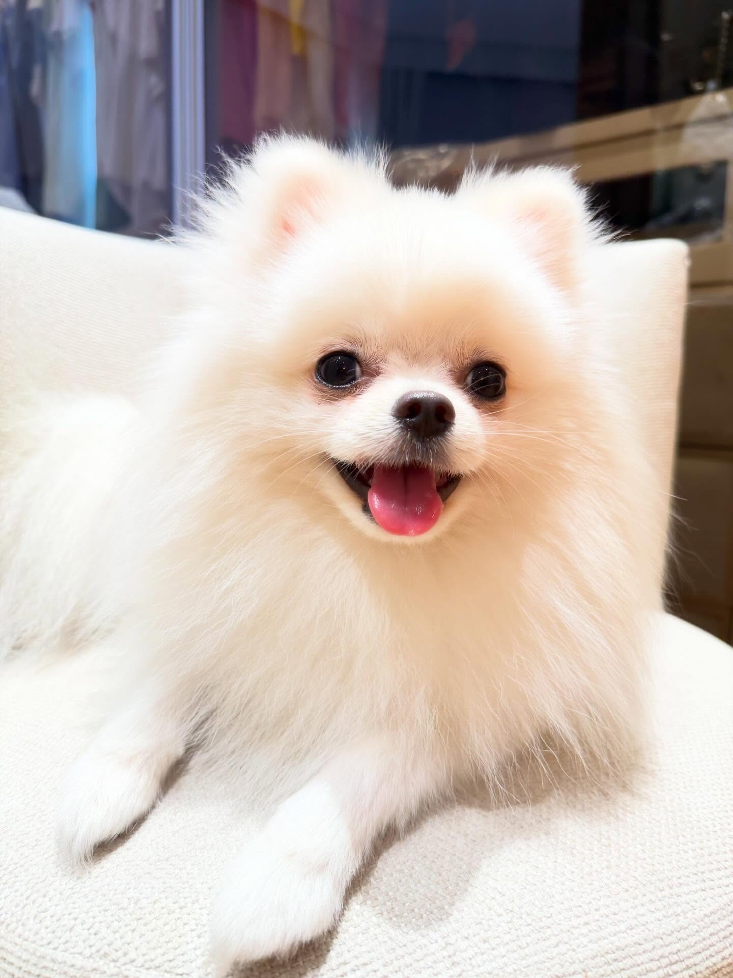 เมย์ เฟื่องอารมย์