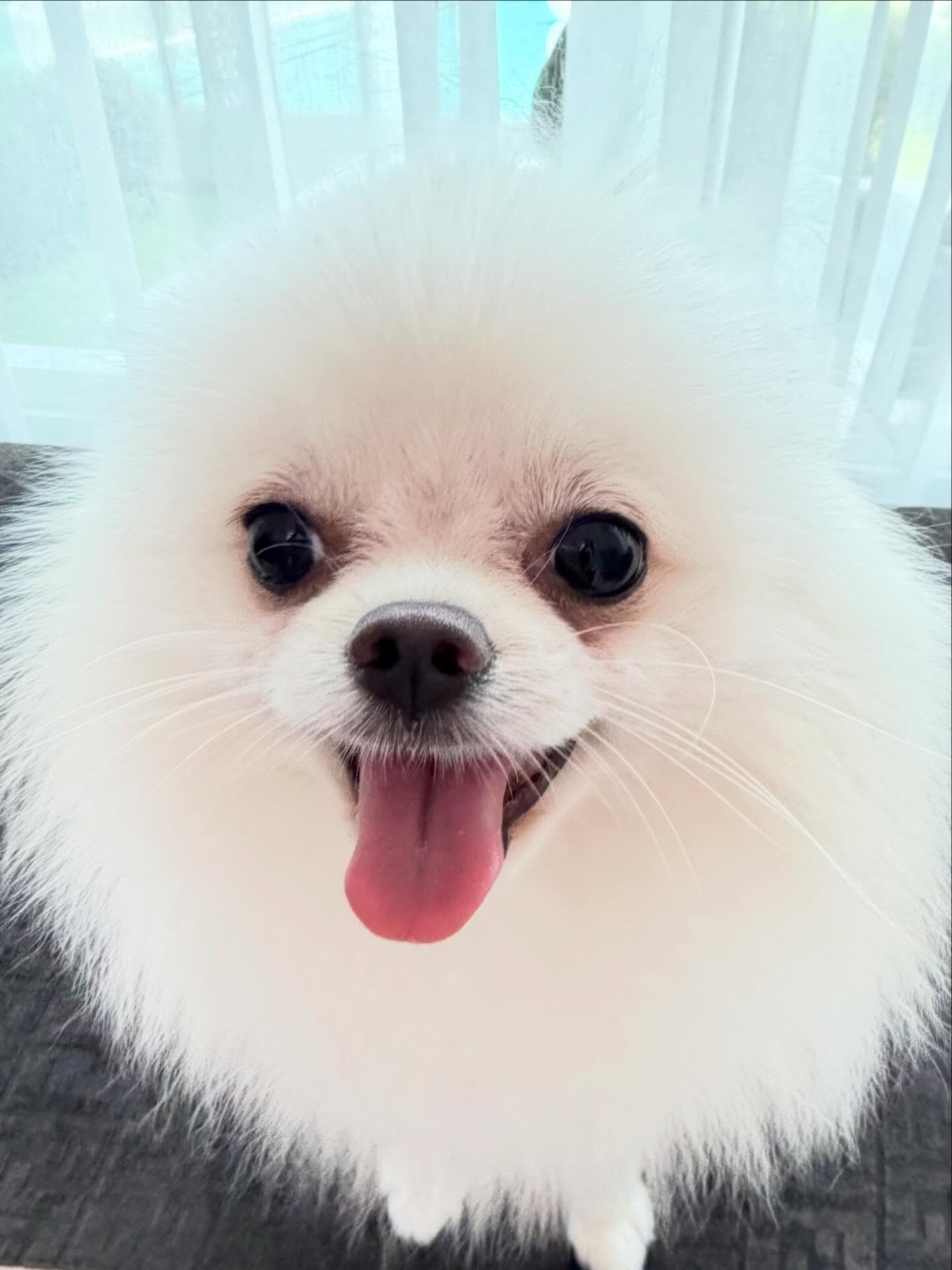 เมย์ เฟื่องอารมย์