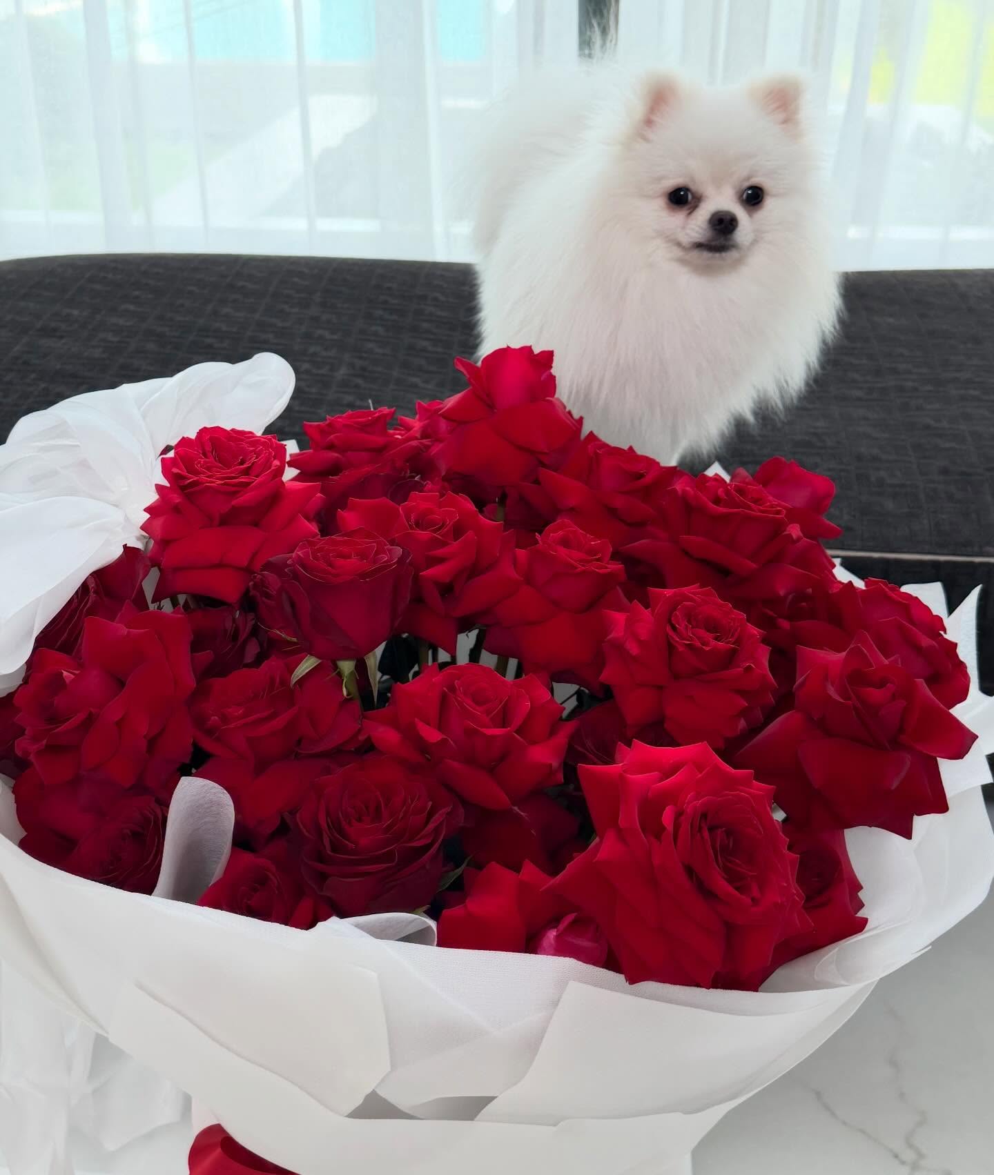 เมย์ เฟื่องอารมย์