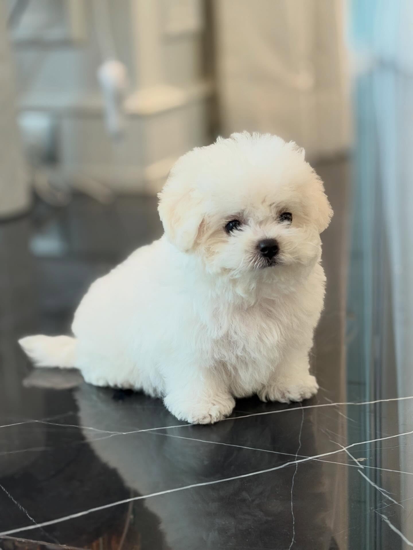 เมย์ เฟื่องอารมย์