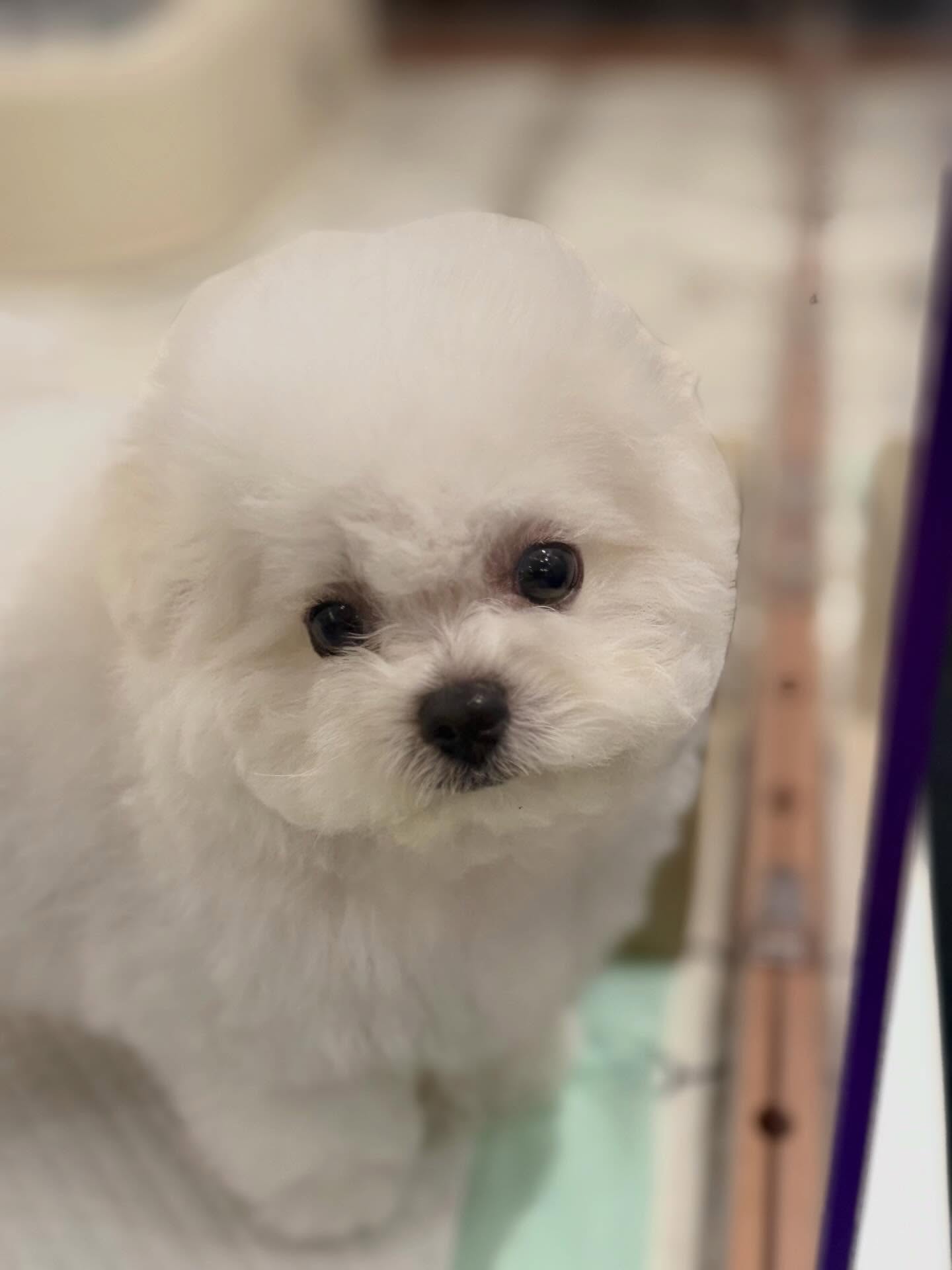 เมย์ เฟื่องอารมย์