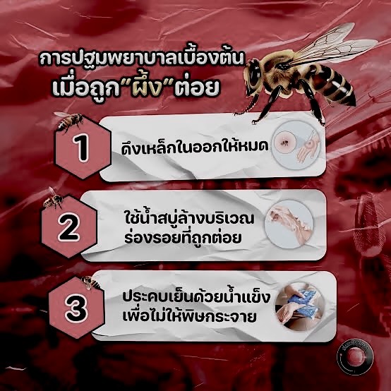 หนุ่ม - กรรชัย กำเนิดพลอย