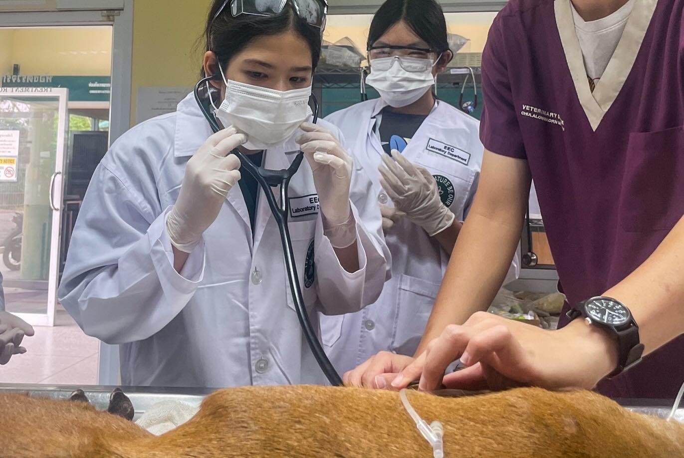 อ้อม - พิยดา จุฑารัตนกุล