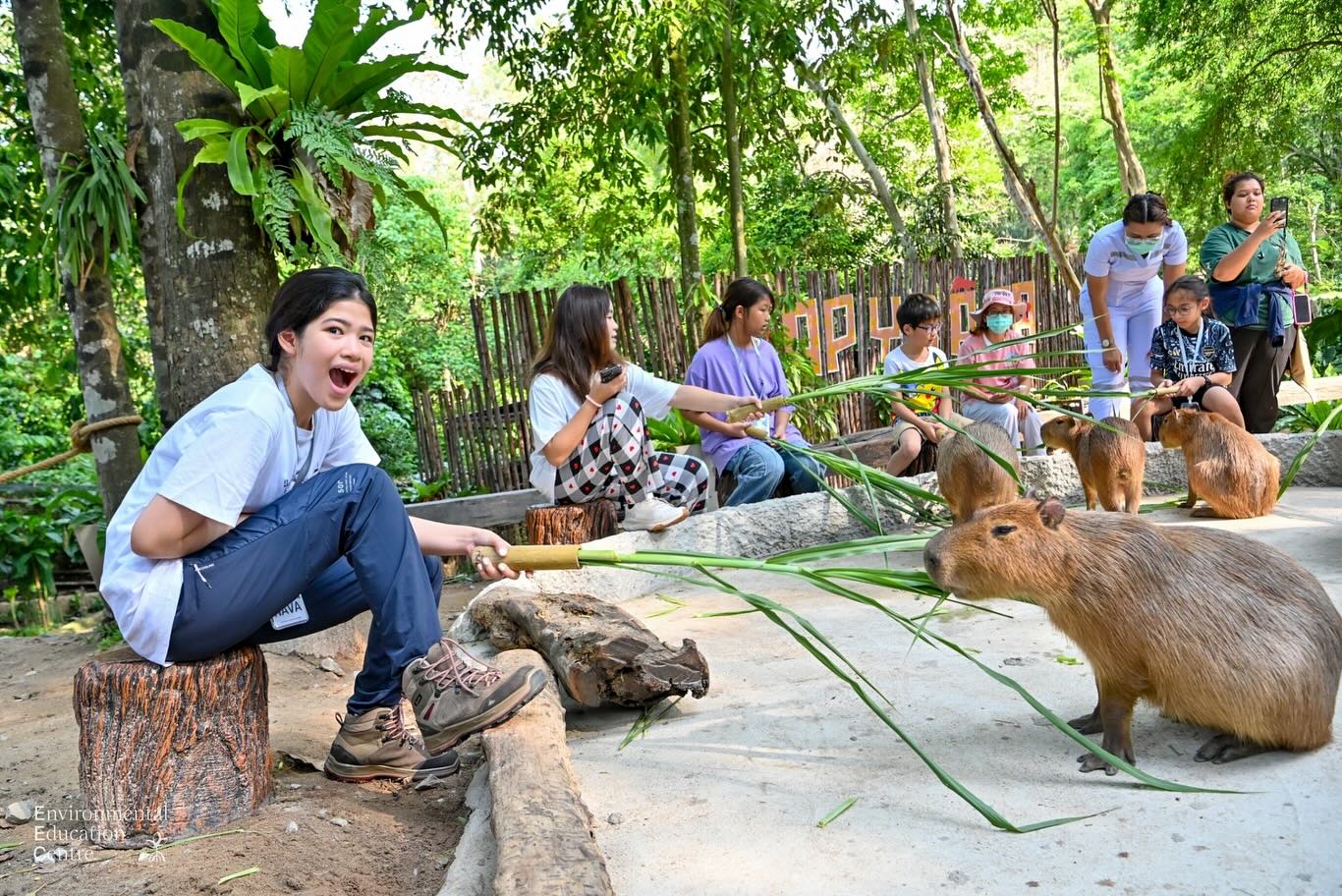 อ้อม - พิยดา จุฑารัตนกุล