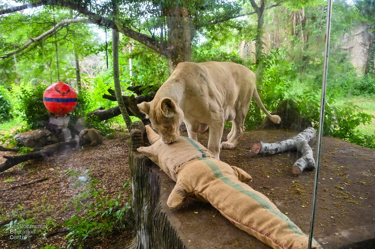 อ้อม - พิยดา จุฑารัตนกุล