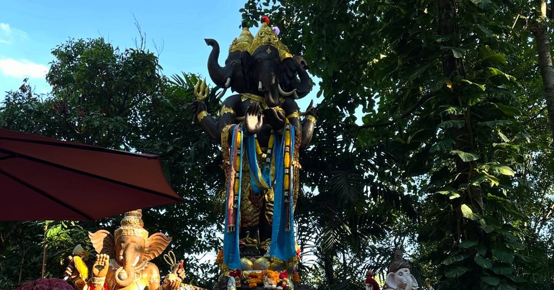 อ้อม - พิยดา จุฑารัตนกุล