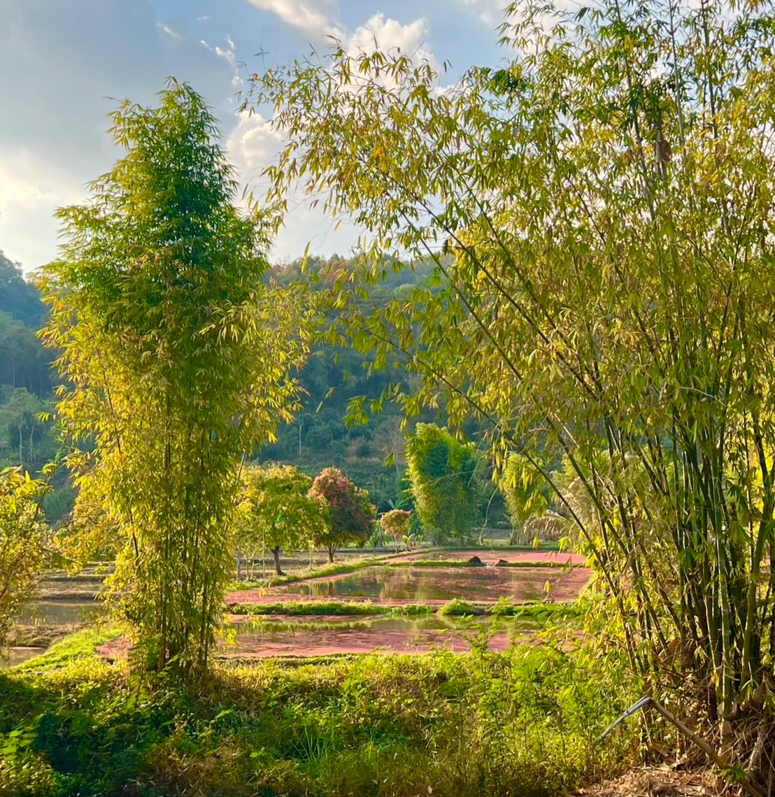 อ้อม - พิยดา จุฑารัตนกุล