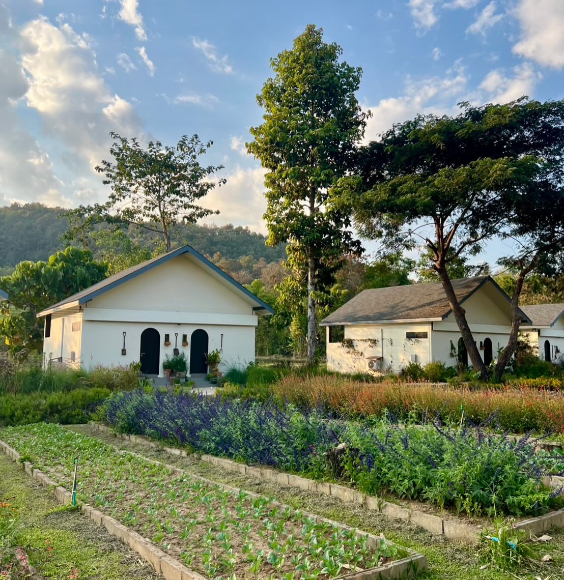 อ้อม - พิยดา จุฑารัตนกุล