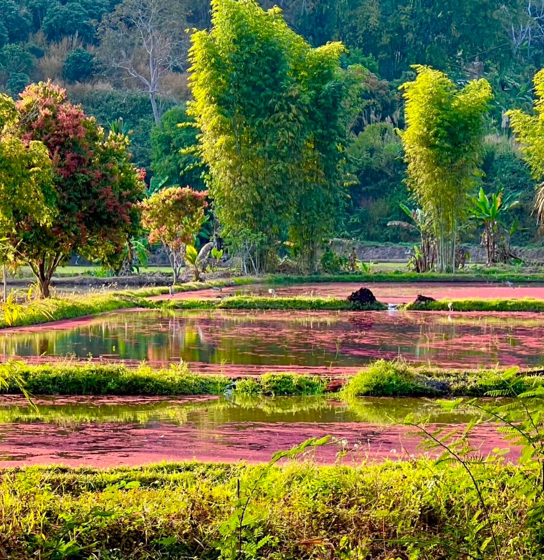 อ้อม - พิยดา จุฑารัตนกุล