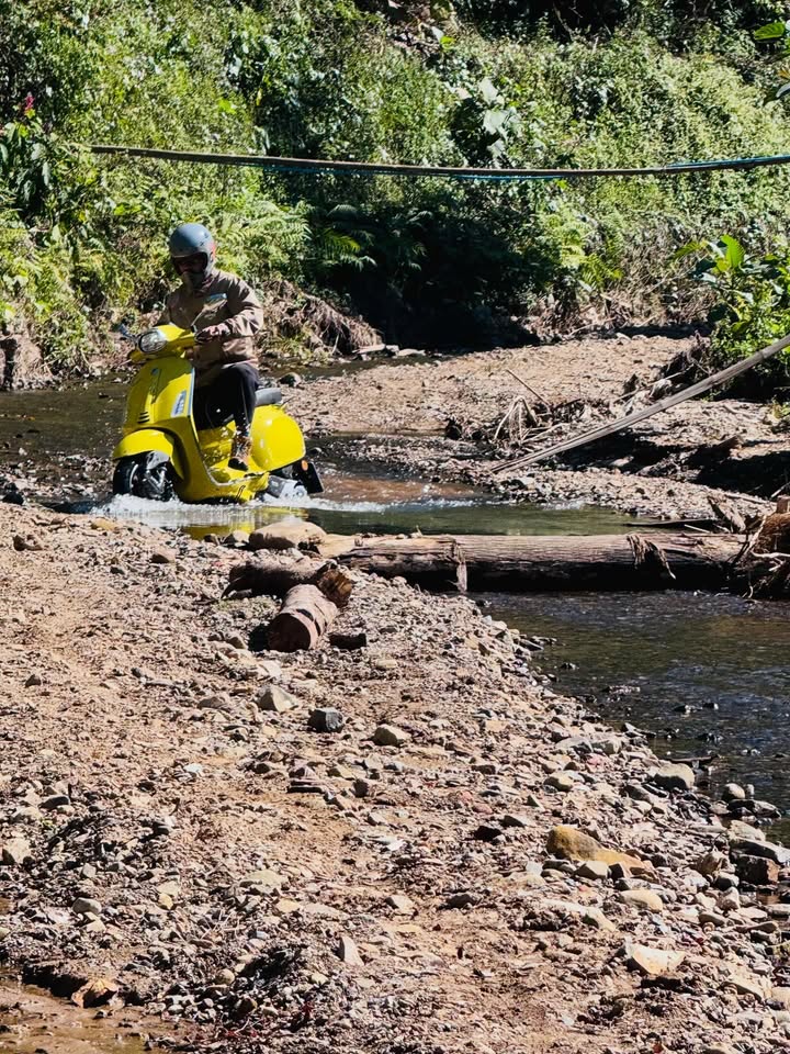 เร แม๊คโดแนลด์