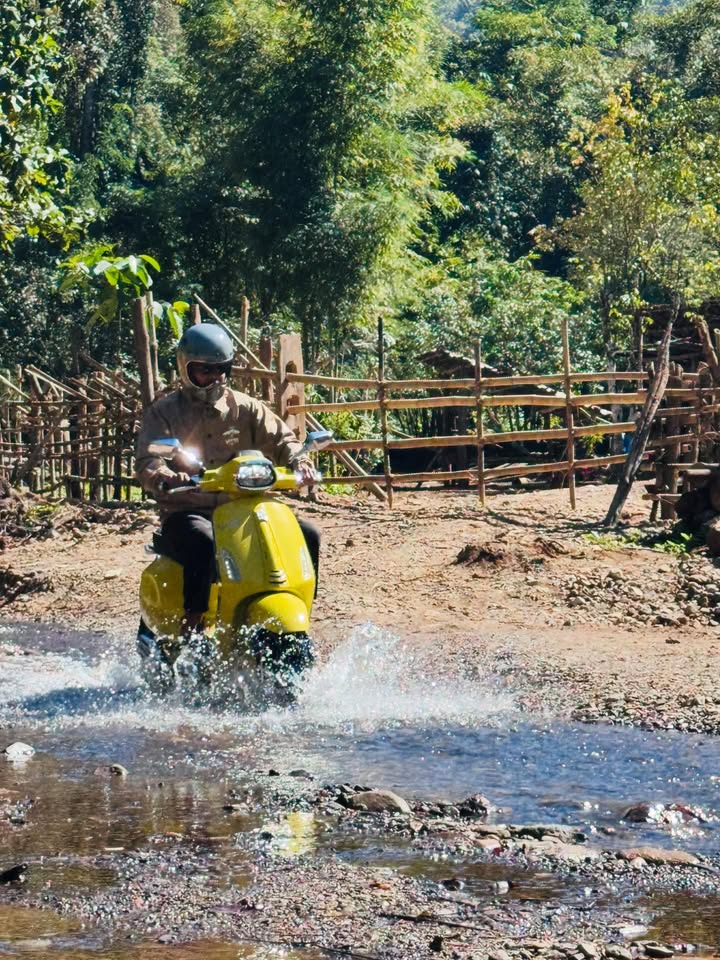 เร แม๊คโดแนลด์