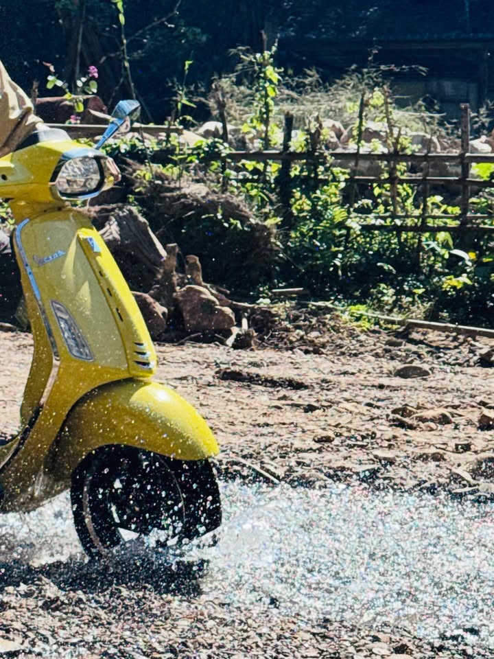 เร แม๊คโดแนลด์