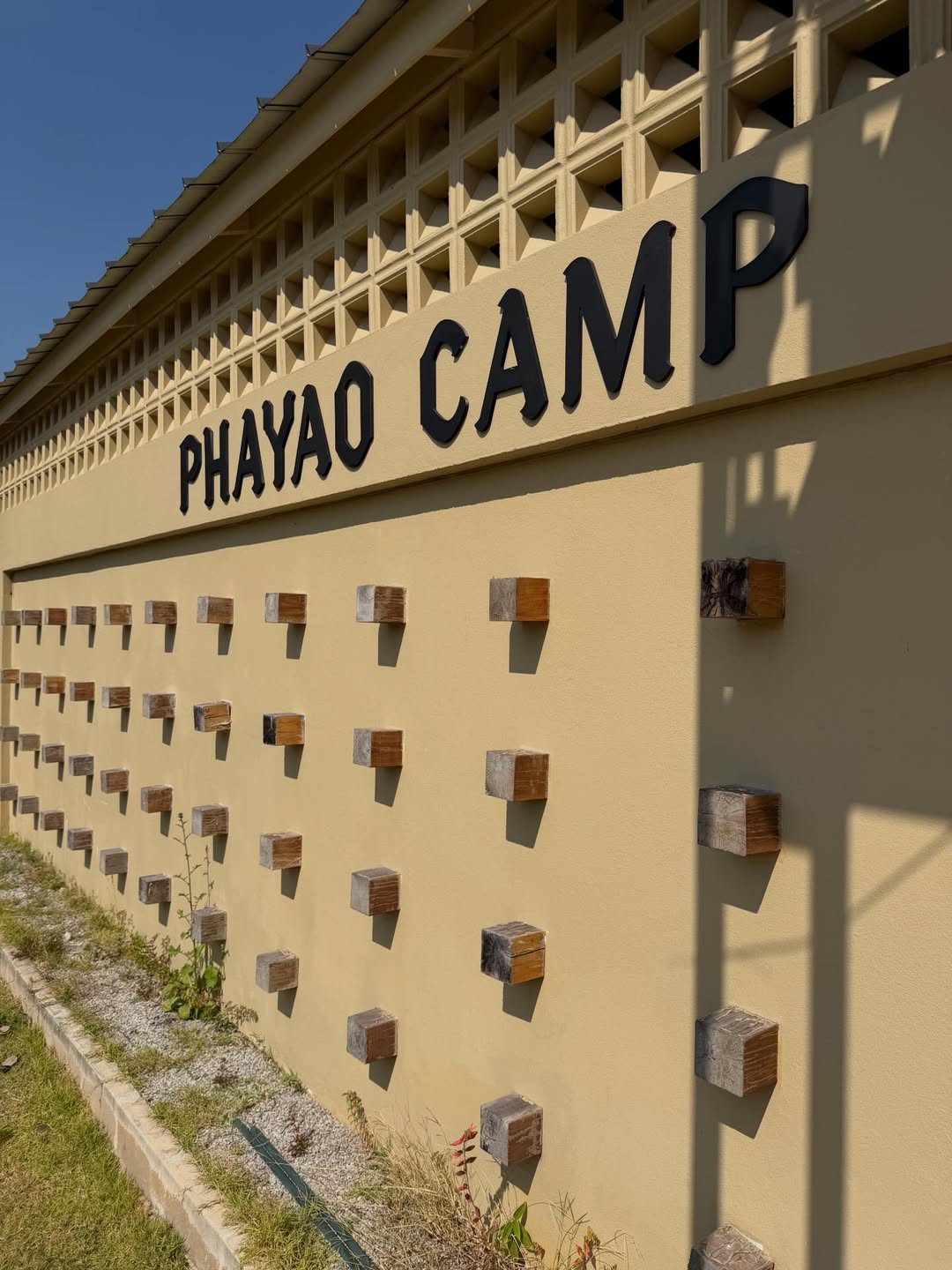 เร แม๊คโดแนลด์