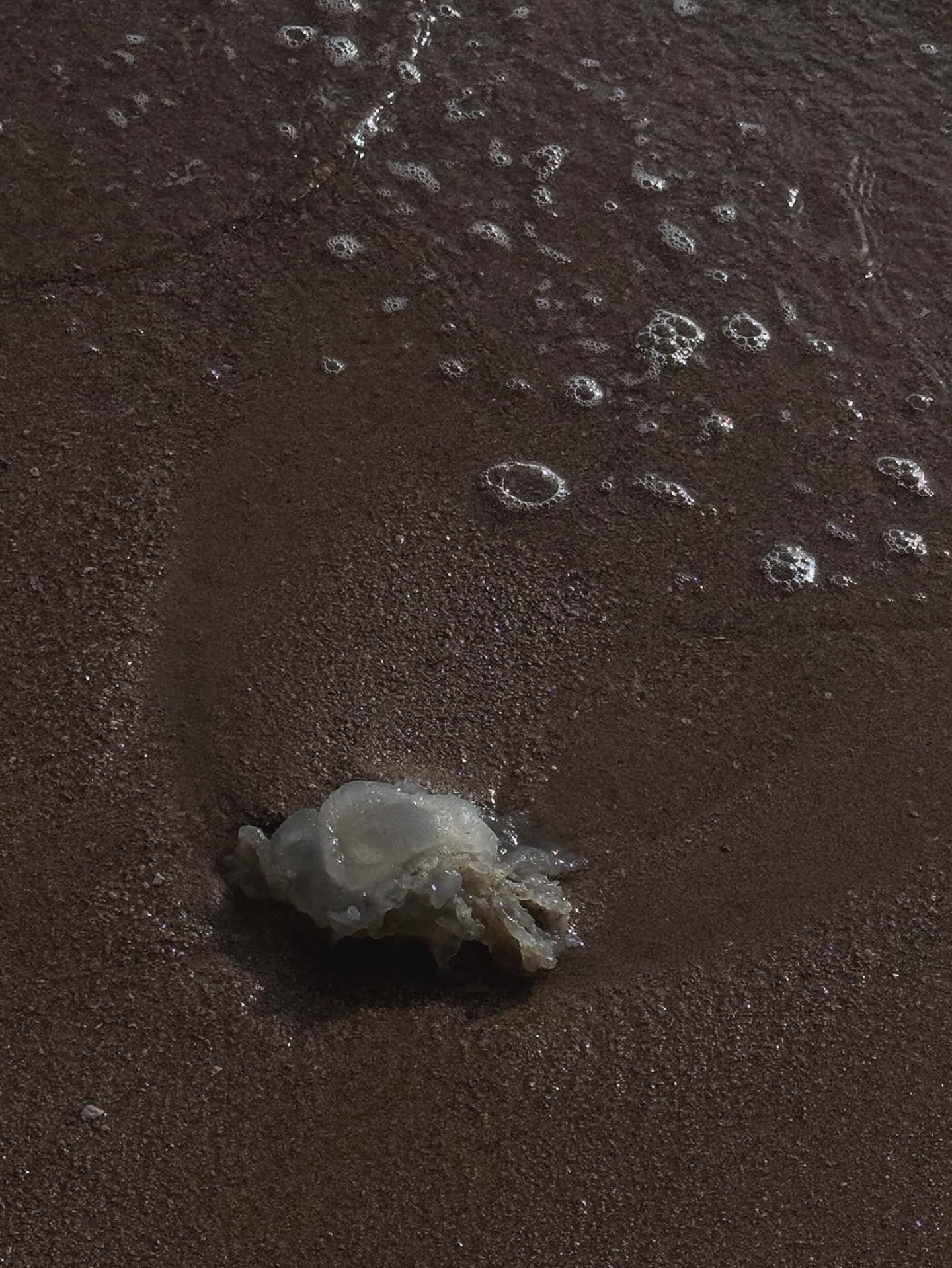 หลิน - มชณต สุวรรณมาศ