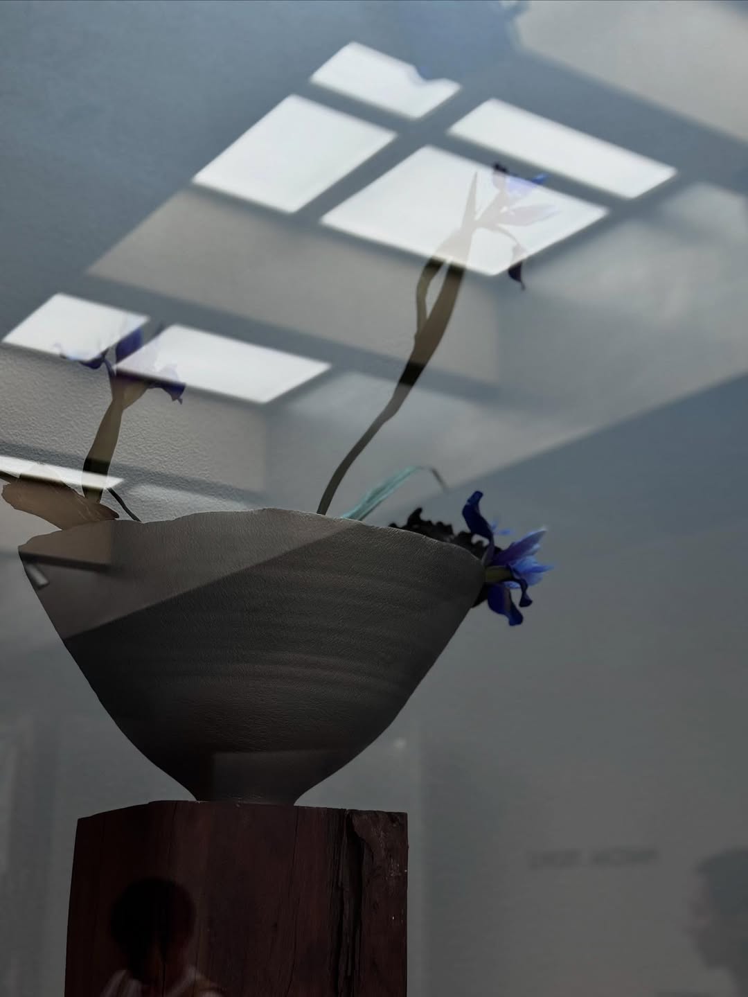 หลิน - มชณต สุวรรณมาศ