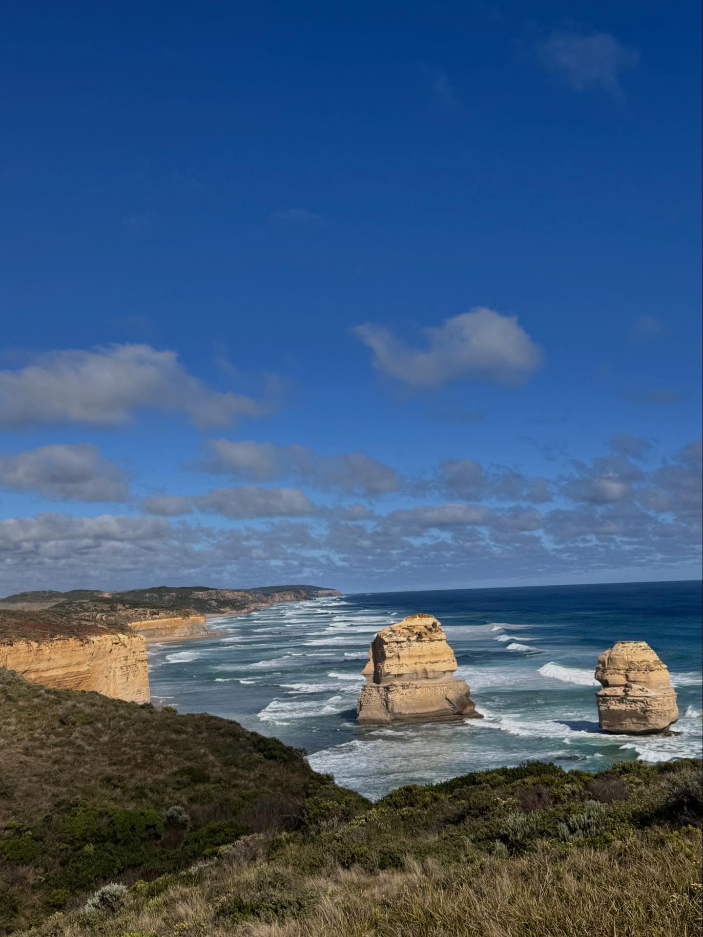 หลิน - มชณต สุวรรณมาศ