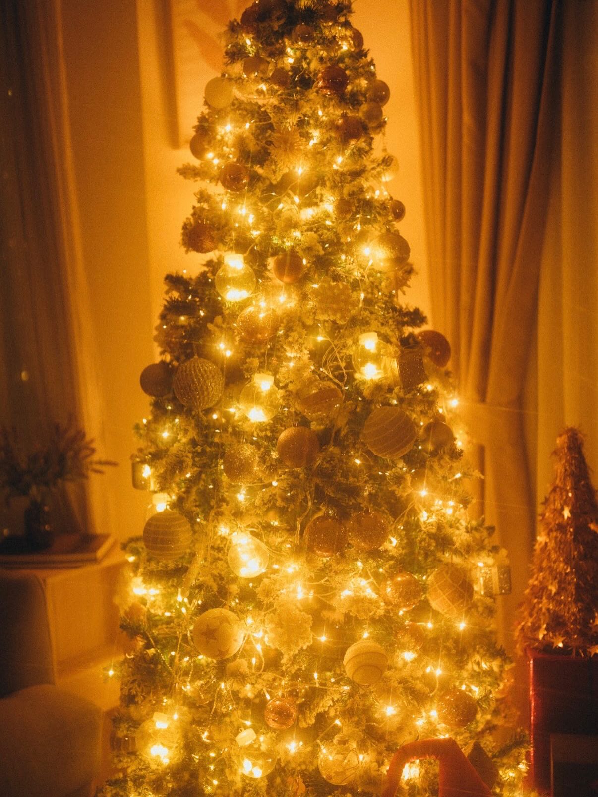 มุก - วรนิษฐ์ ถาวรวงศ์