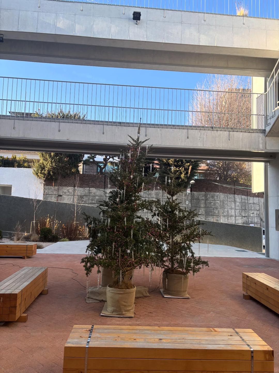 มุก - วรนิษฐ์ ถาวรวงศ์